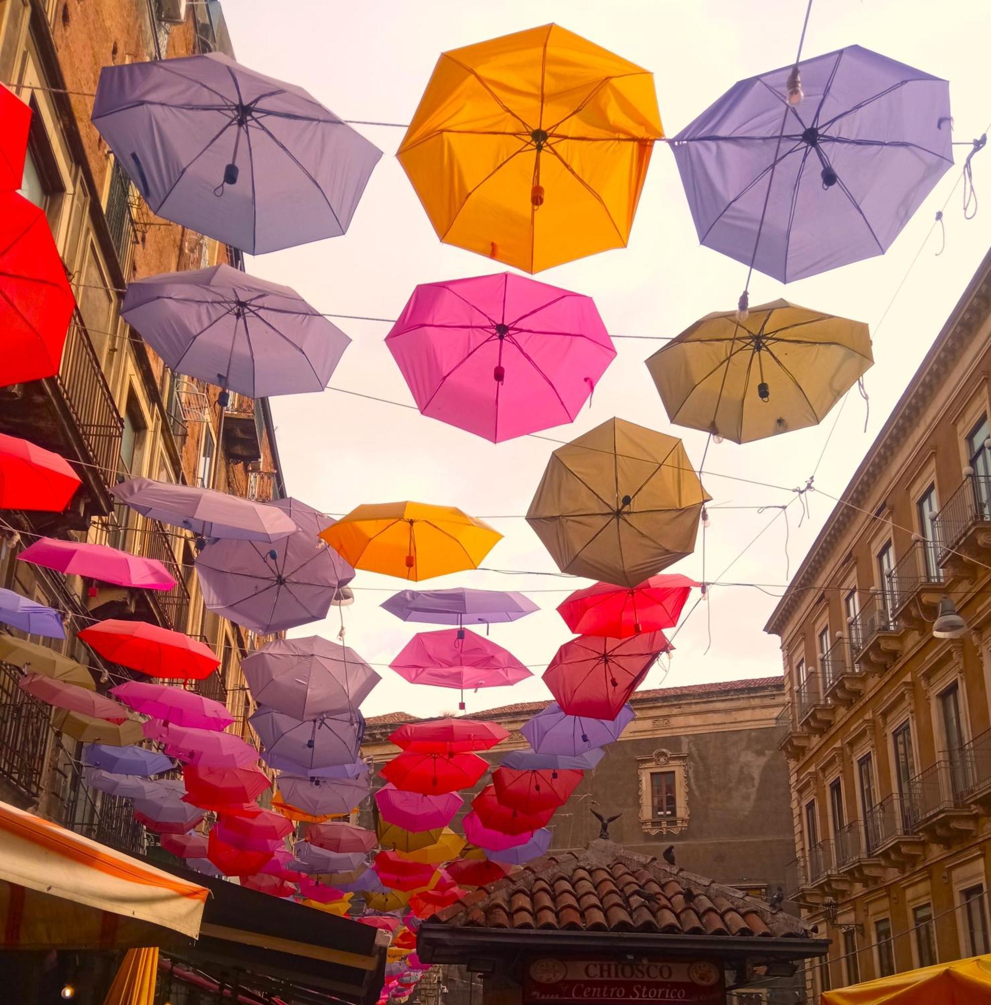 Fikus Apt Relax Castello Ursino 카타니아 외부 사진